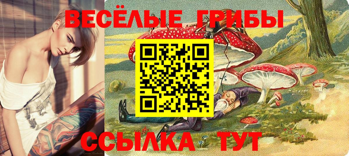 Псилоцибиновые грибы Psilocybine cubensis  Вход с VPN  Воскресенск 